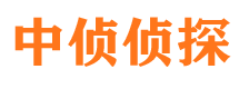 彭阳市私家侦探公司